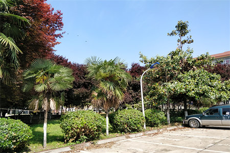 税务小区3室2厅2卫118㎡带车库无税推荐好房！